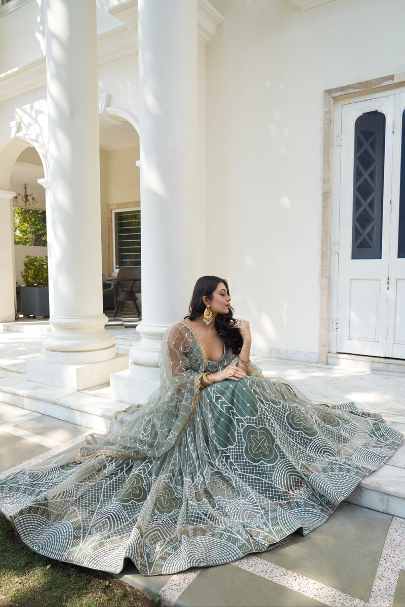 Beautiful Dessigner Occasion Wear Butterfly Net Lehenga Choli