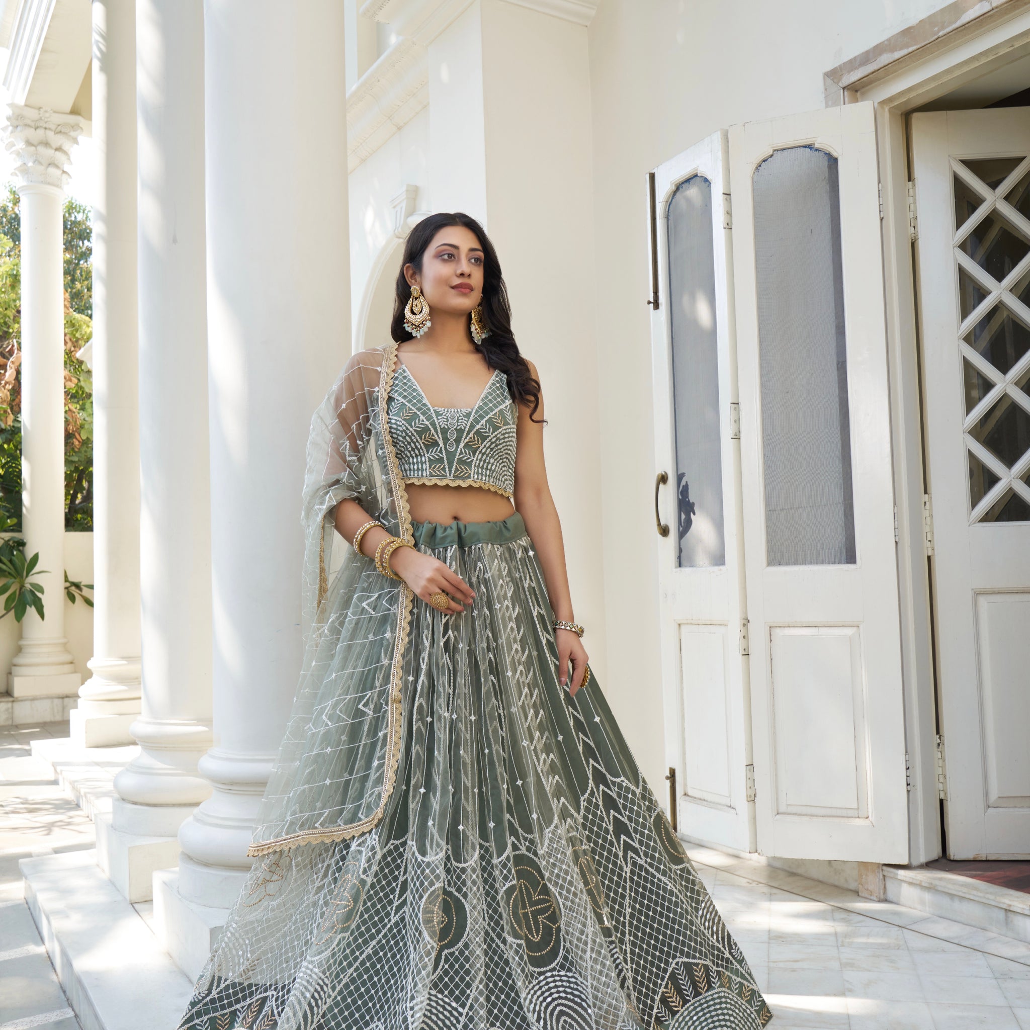 Beautiful Dessigner Occasion Wear Butterfly Net Lehenga Choli