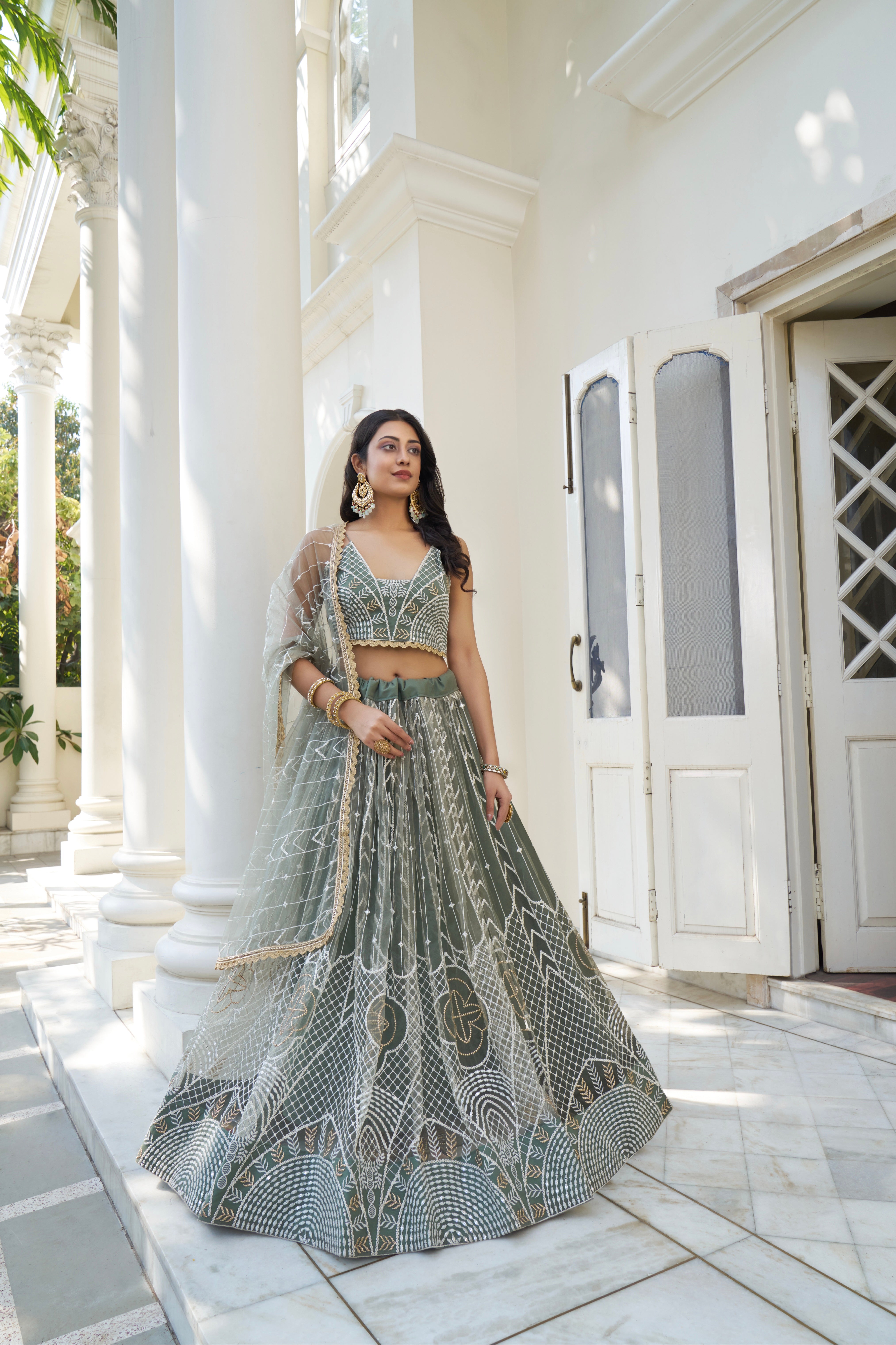Beautiful Dessigner Occasion Wear Butterfly Net Lehenga Choli