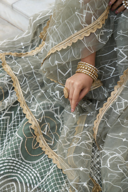 Beautiful Dessigner Occasion Wear Butterfly Net Lehenga Choli