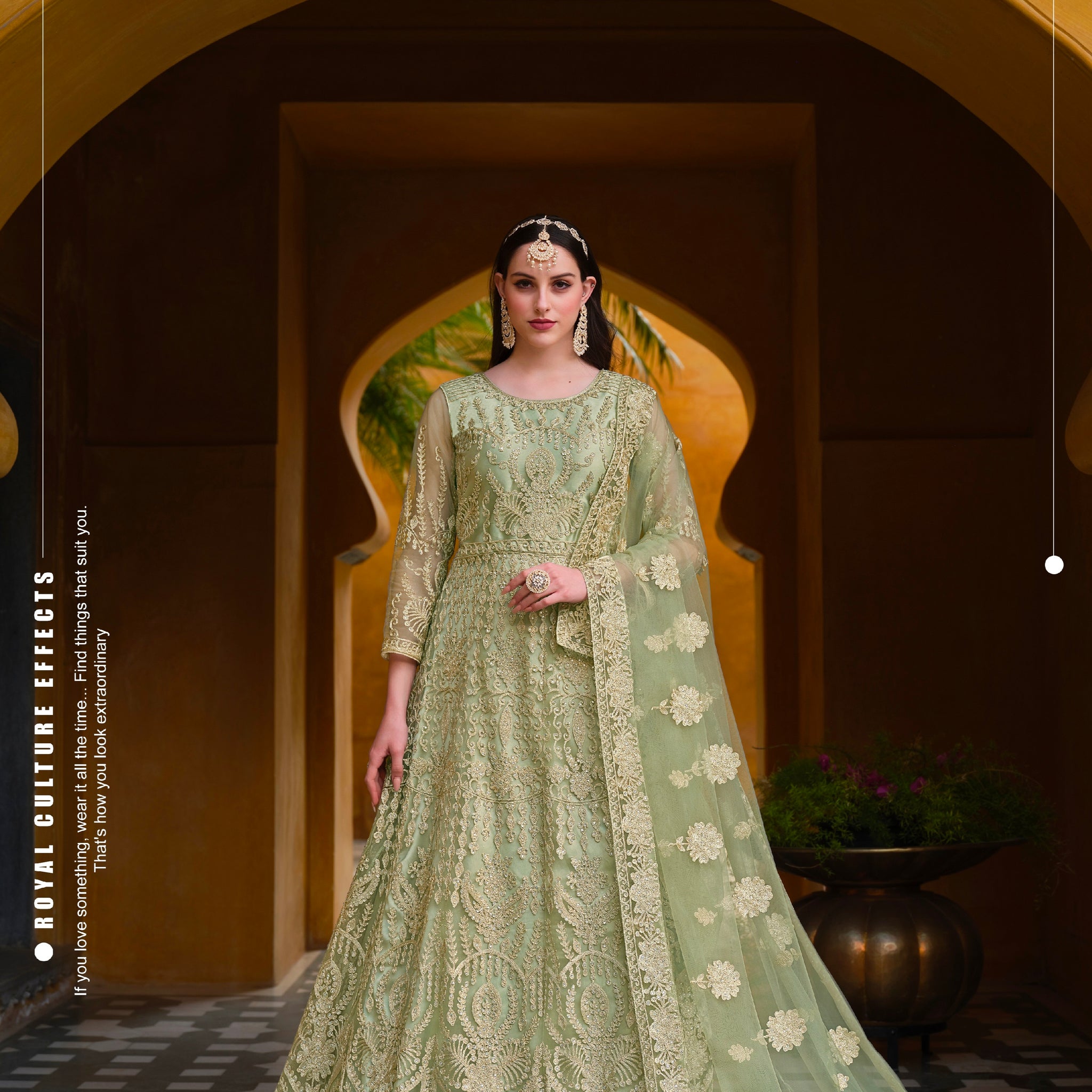 Beautiful Designer Occasion Wear Pure Butterfly Net Anarkali Suit