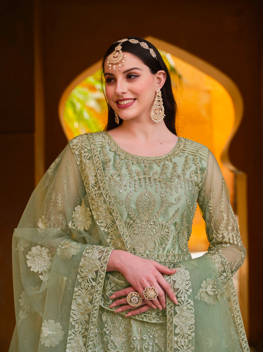 Beautiful Designer Occasion Wear Pure Butterfly Net Anarkali Suit