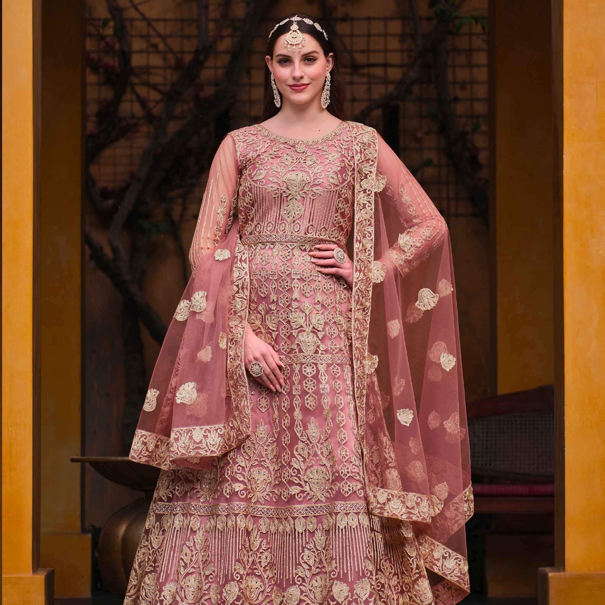 Beautiful Designer Occasion Wear Pure Butterfly Net Anarkali Suit