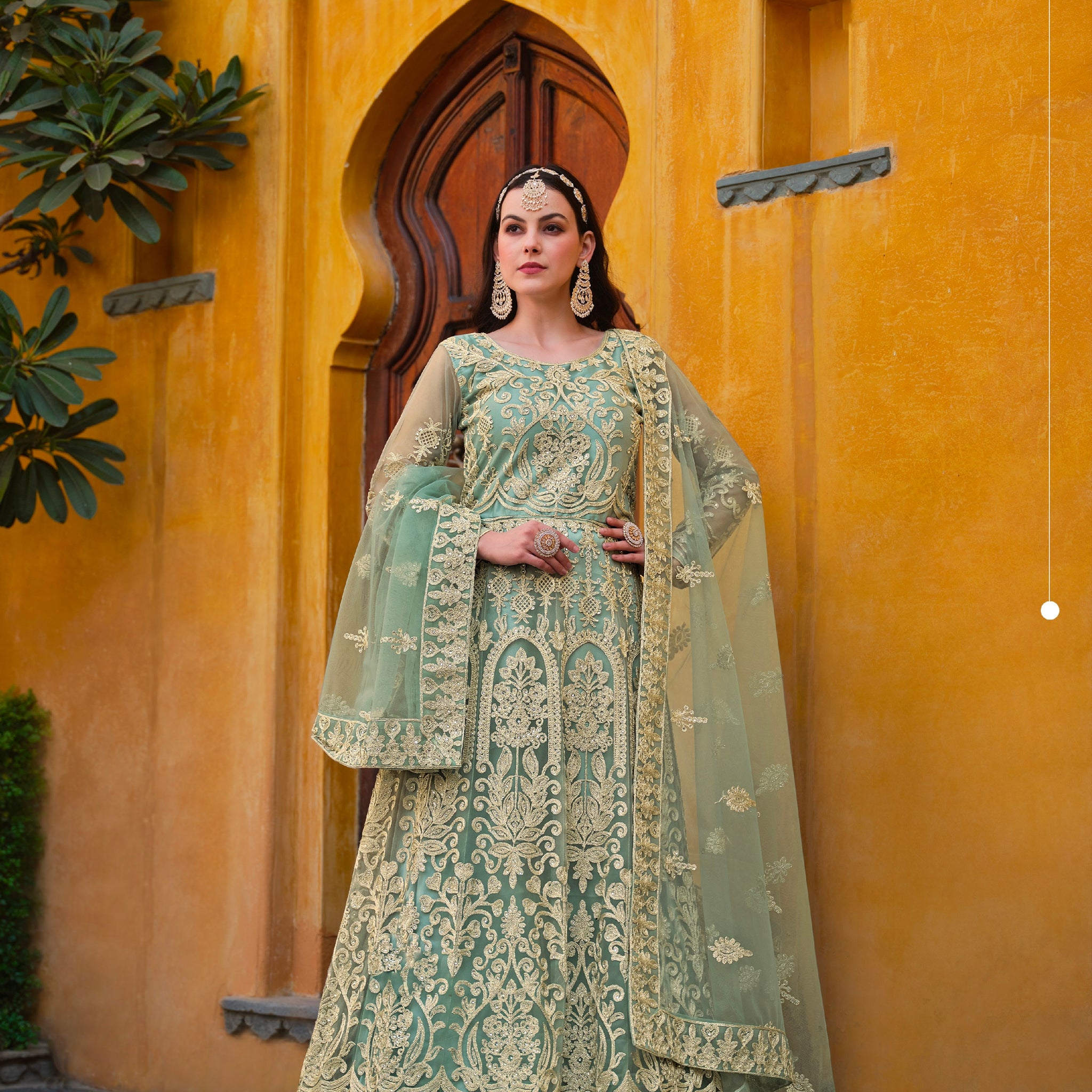 Beautiful Designer Occasion Wear Pure Butterfly Net Anarkali Suit