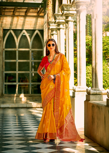 Beautiful Designer Occasion Wear Tissue Silk Saree