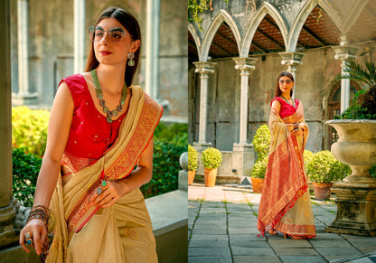 Beautiful Designer Occasion Wear Tissue Silk Saree