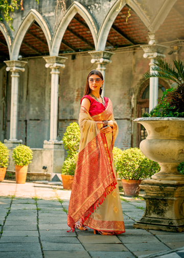 Beautiful Designer Occasion Wear Tissue Silk Saree