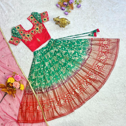 Beautiful Designer Party Wear Soft Mono Silk Kid&