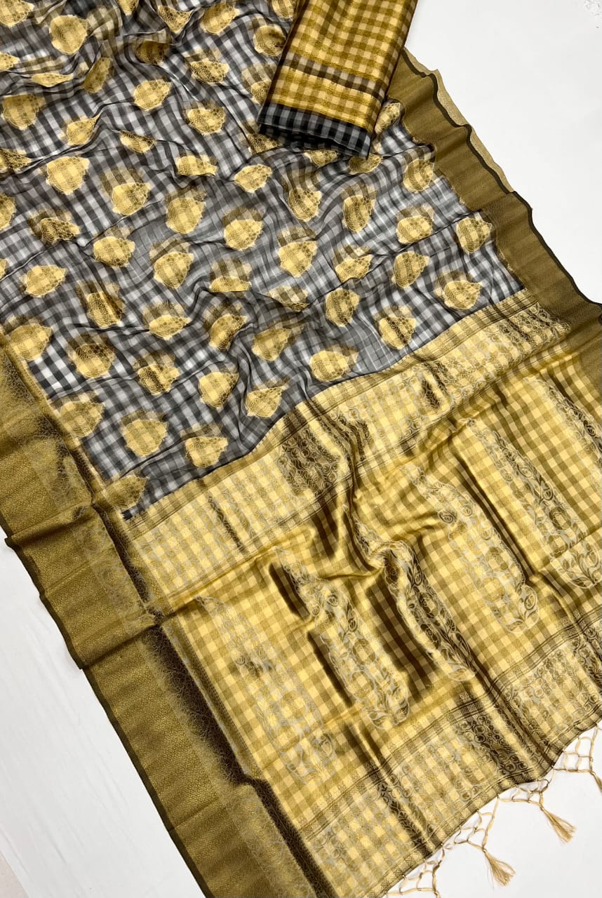 Beautiful Designer Checks
Handloom Weaving Silk Saree