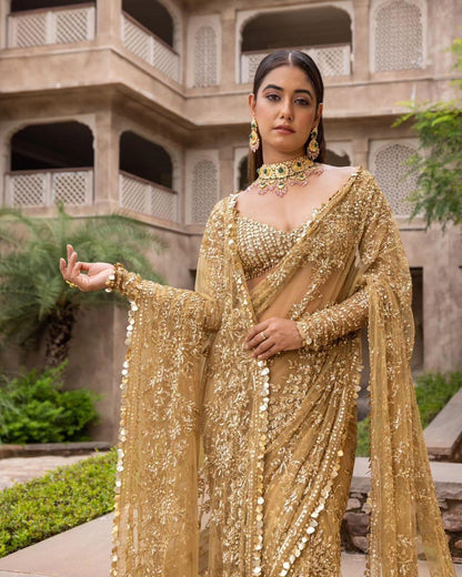 Beautiful Designer Bollywood Soft Mono Butterfly Net  Sequence Saree