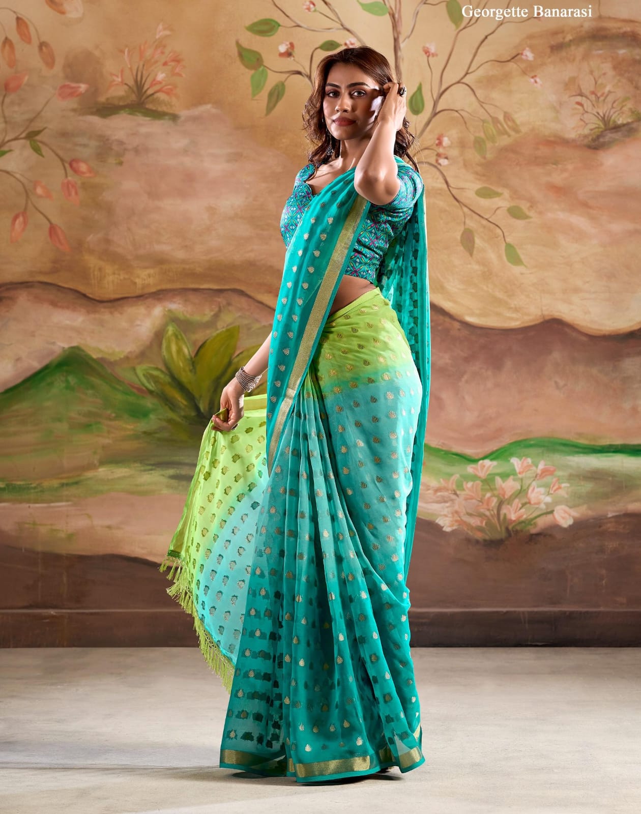 choose the perfect Saree