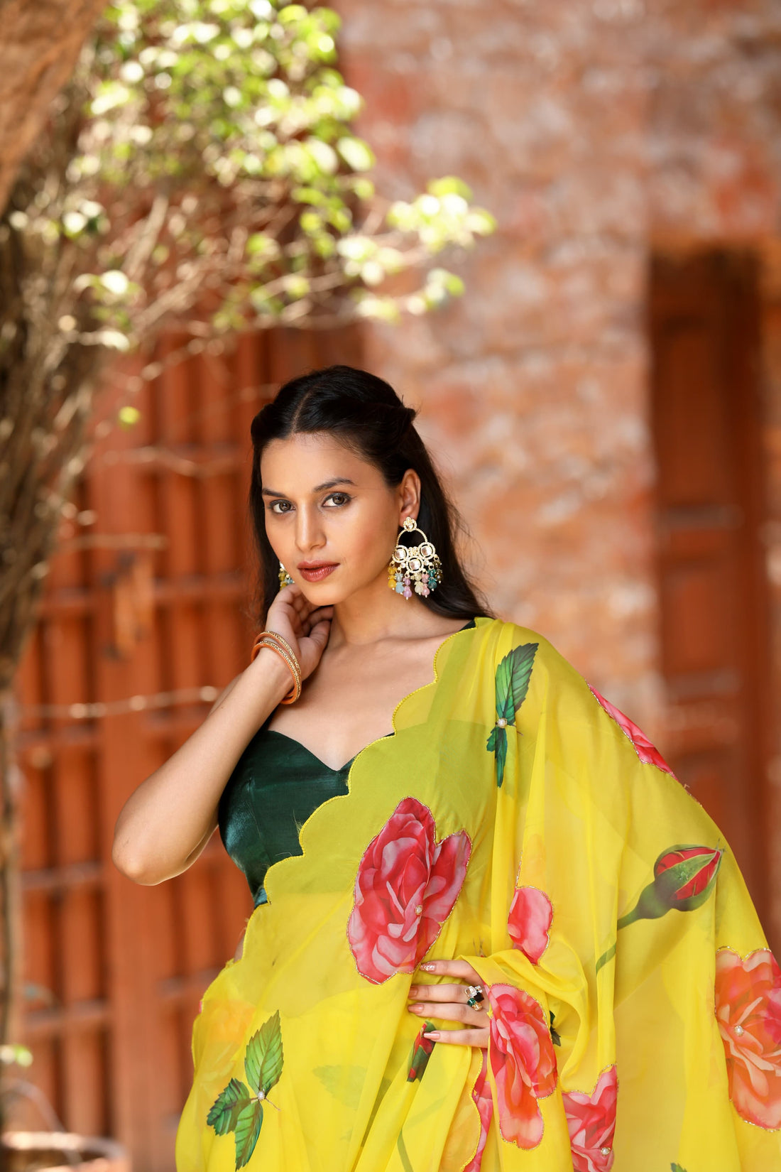 Party Wear Organza Saree