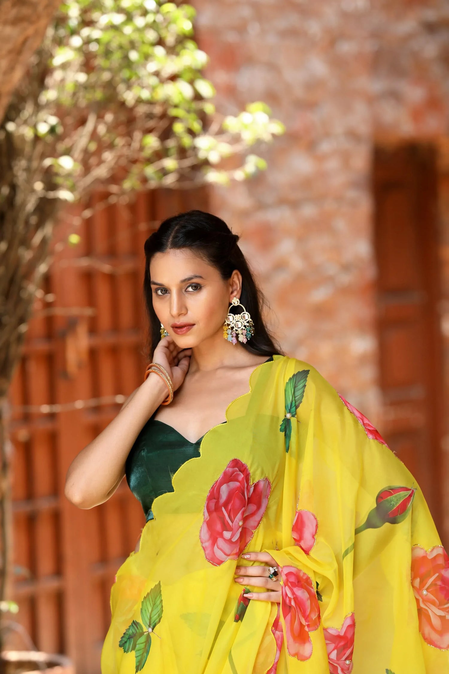 Party Wear Organza Saree