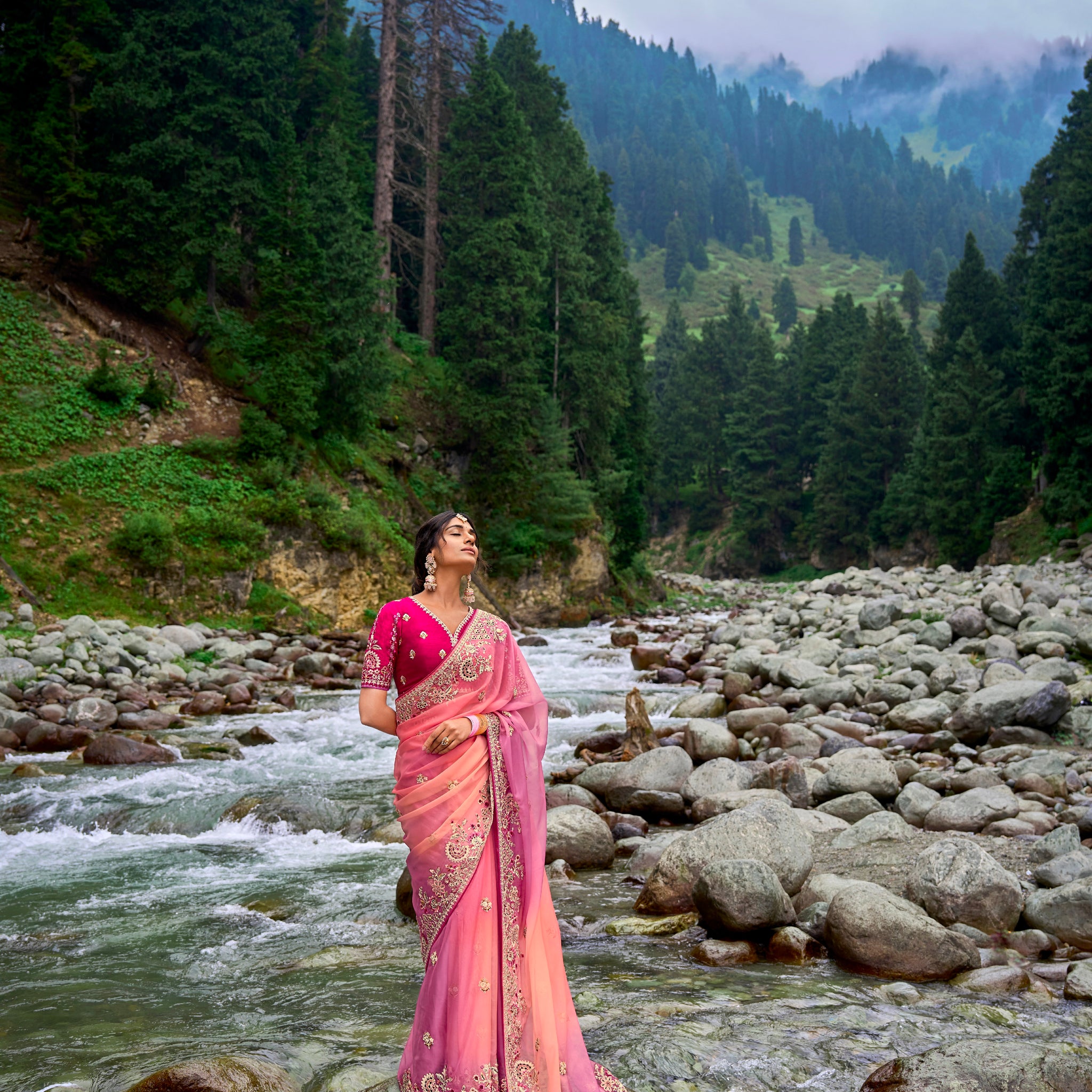 Wedding Saree