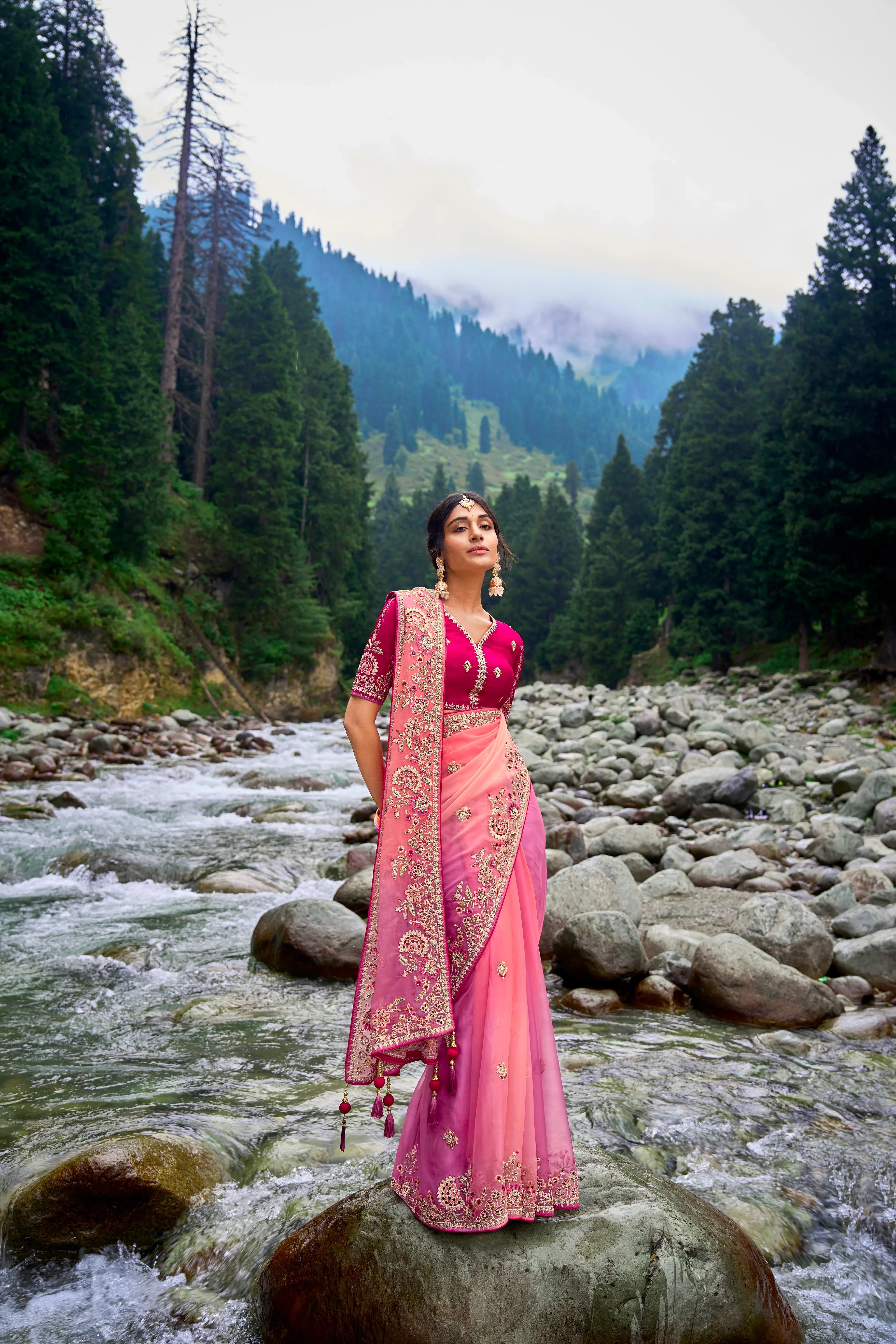 Wedding Saree