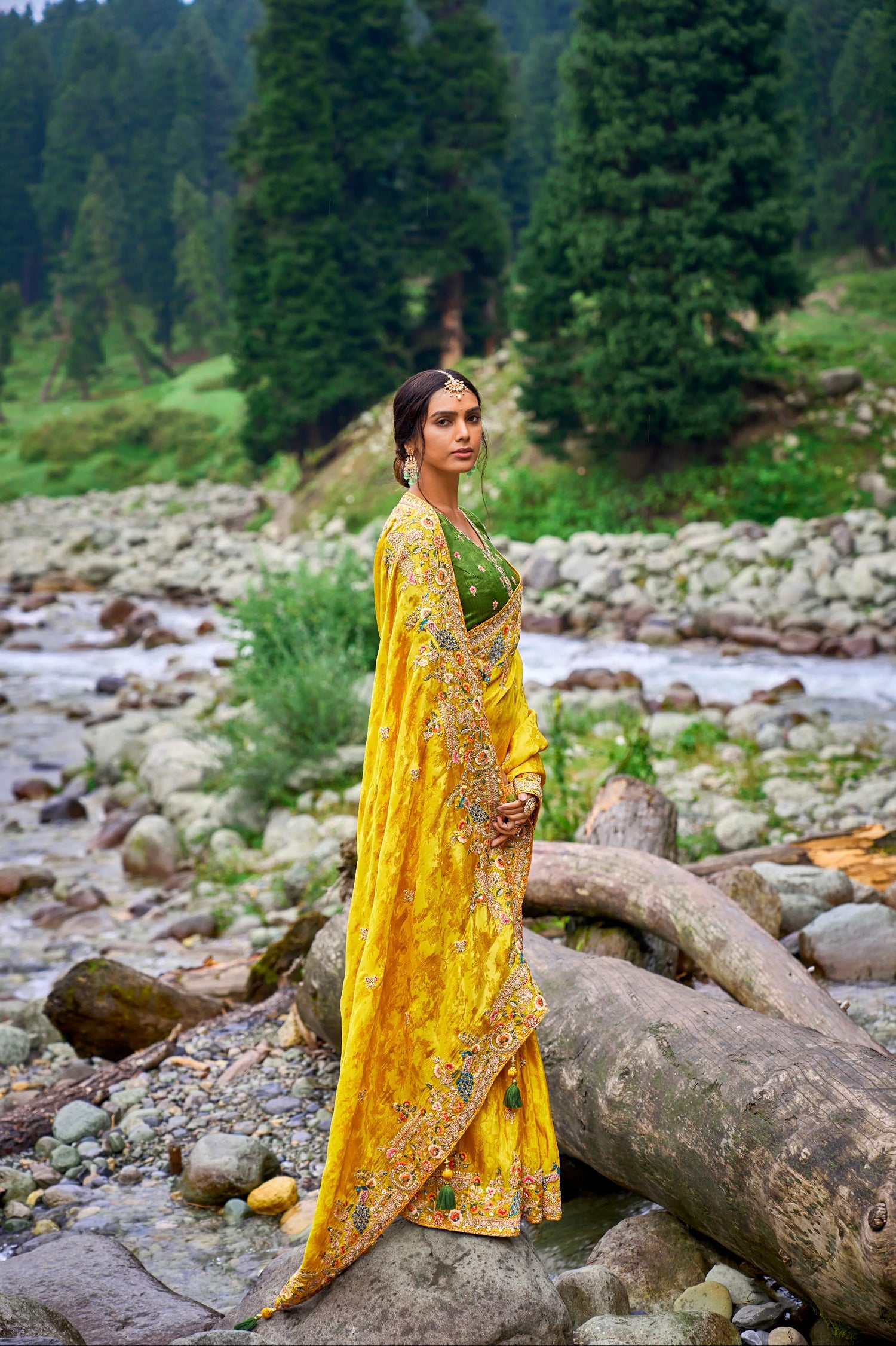 Wedding Saree