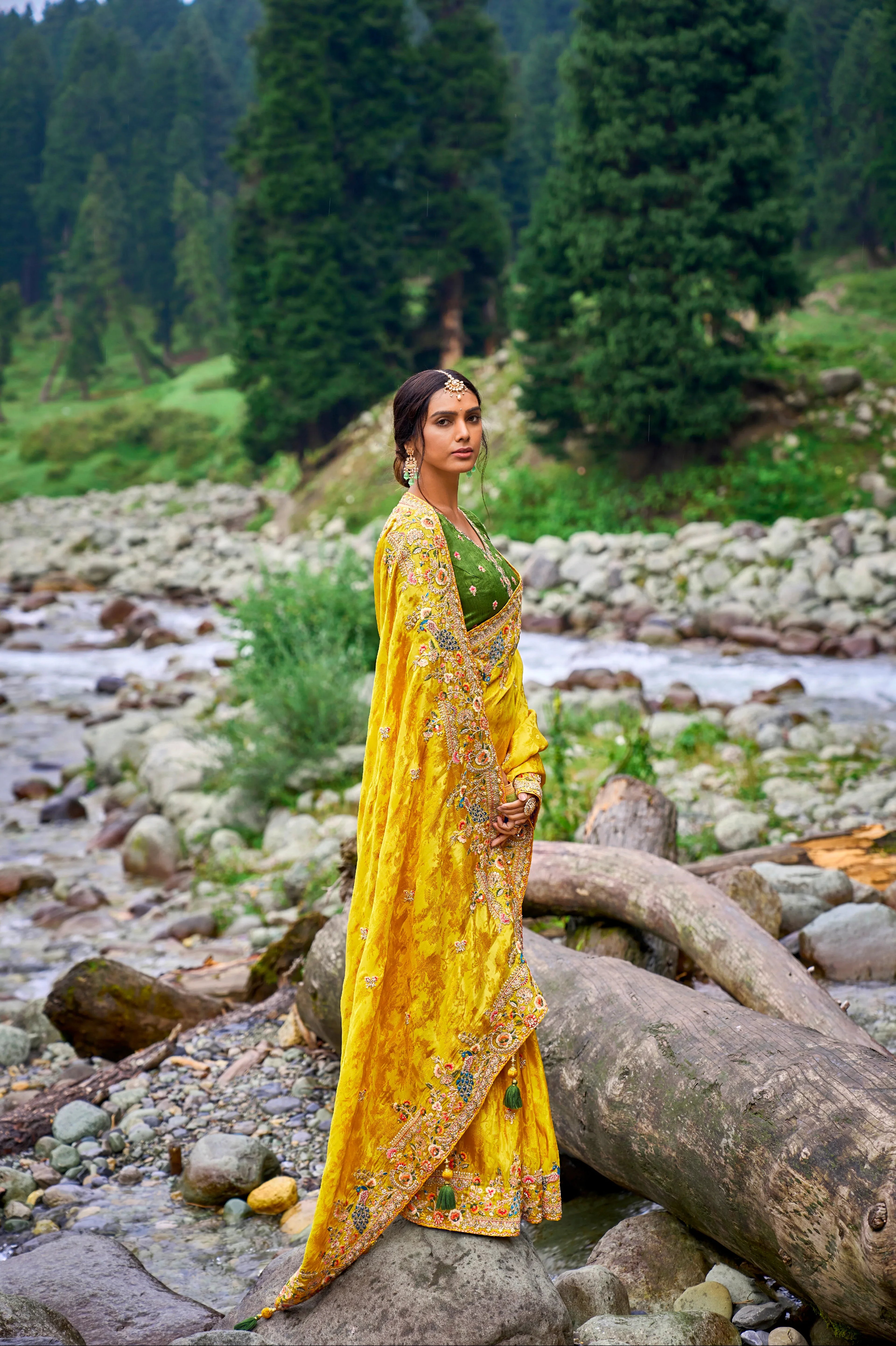 Wedding Saree