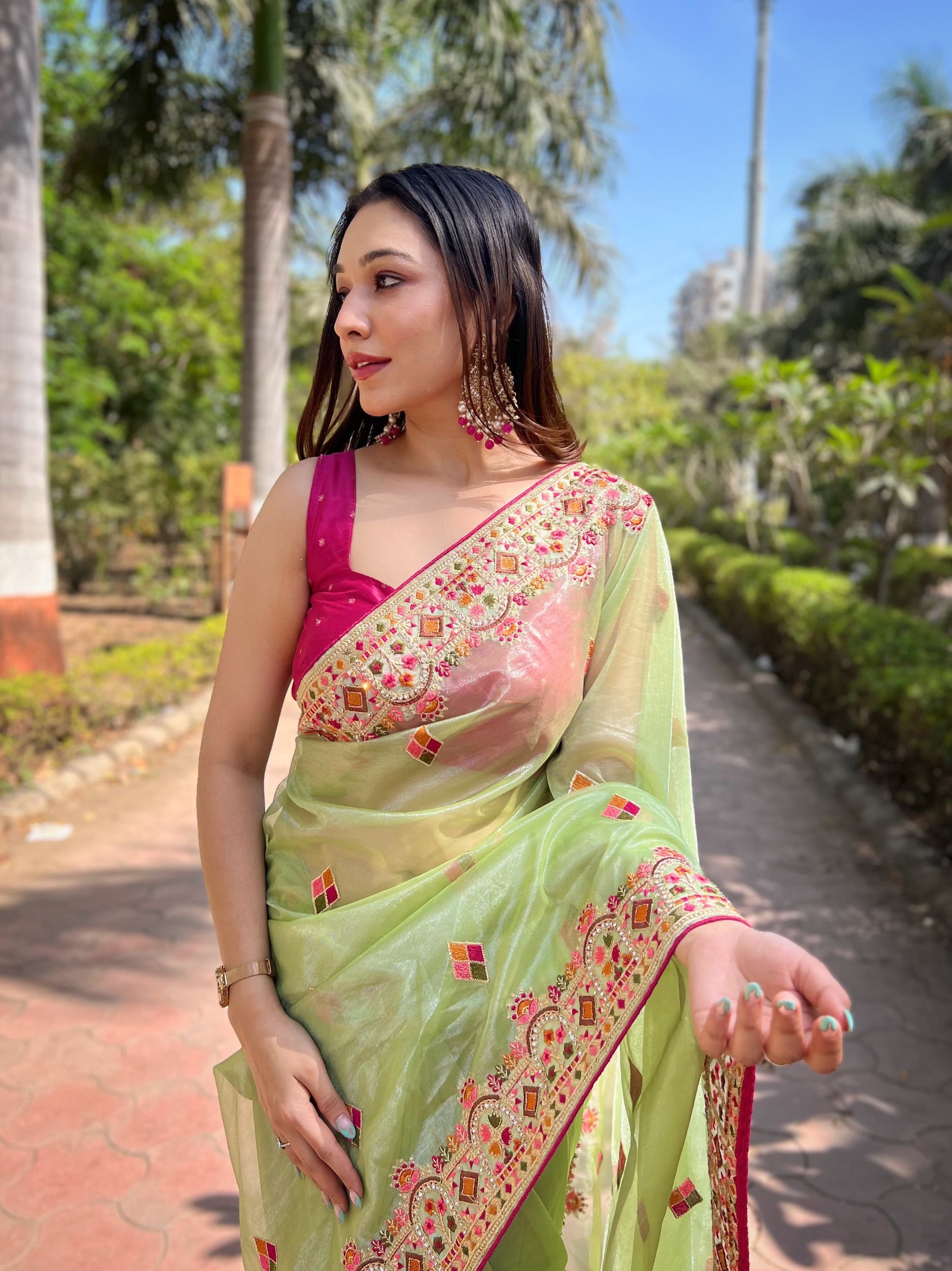 Butterfly Net Saree
