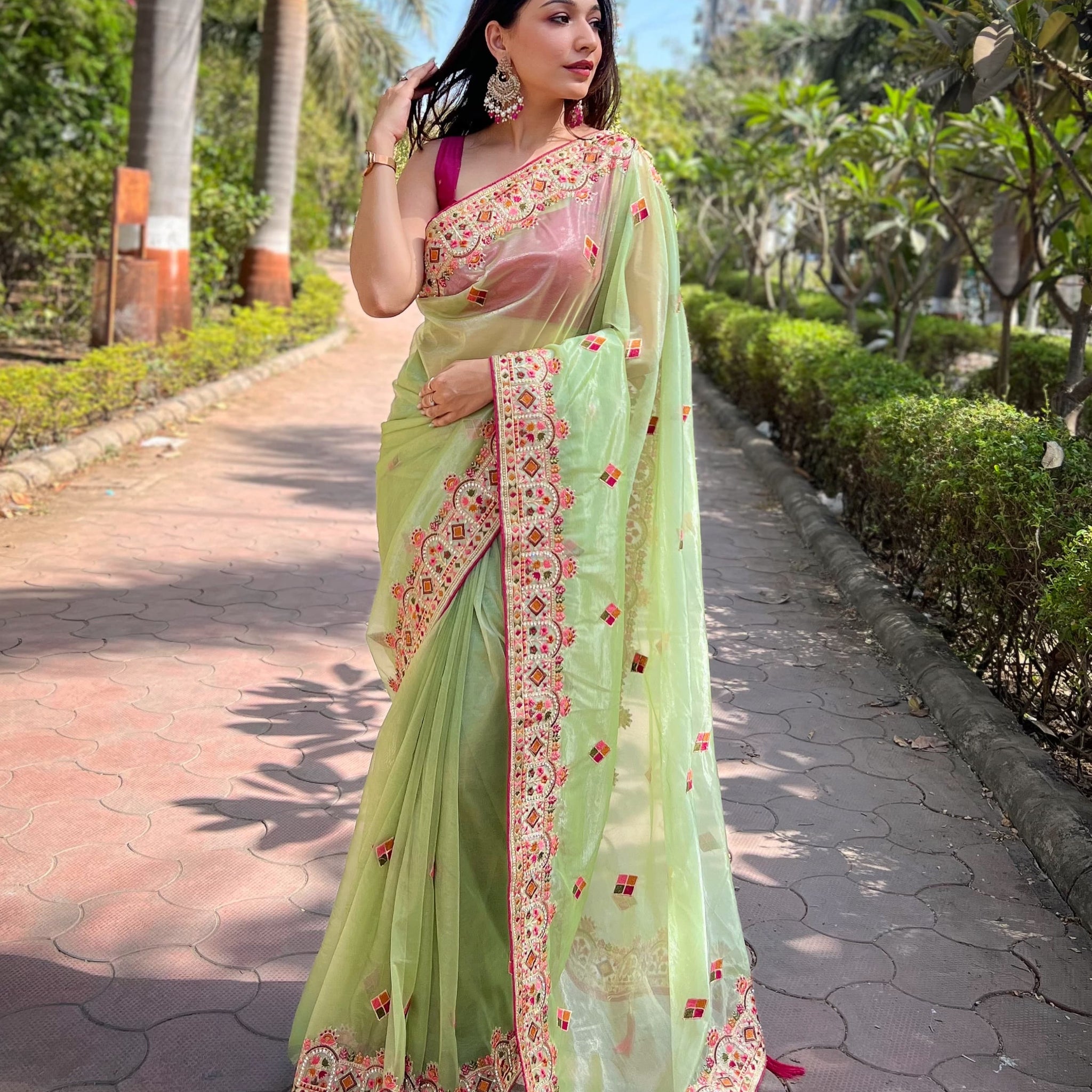Butterfly Net Saree