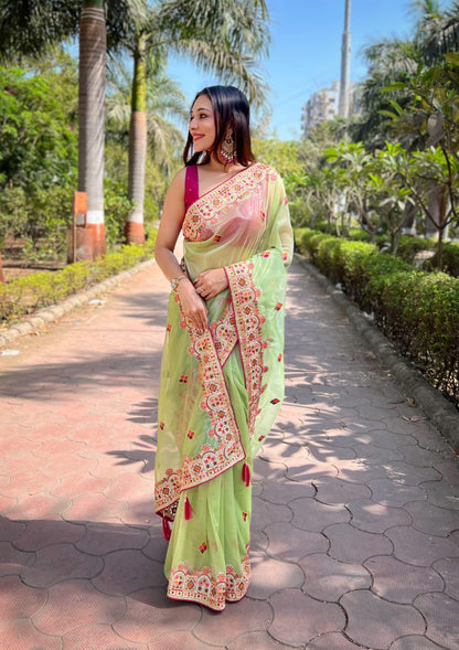 Butterfly Net Saree