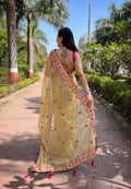 Butterfly Net Saree