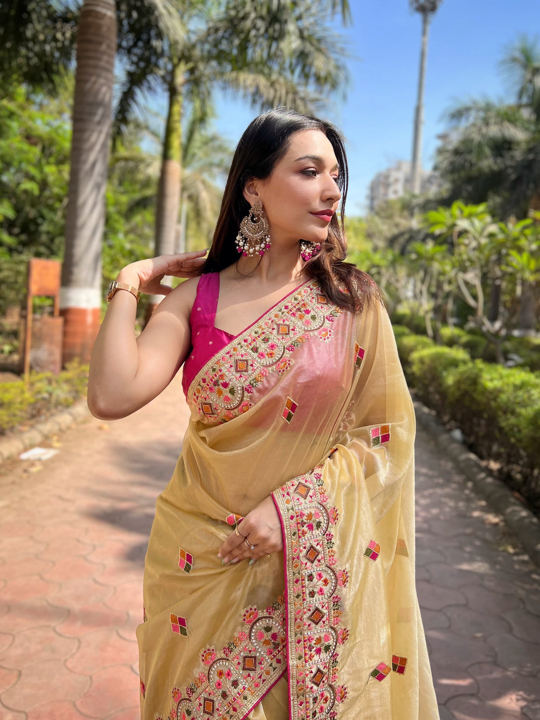 Butterfly Net Saree