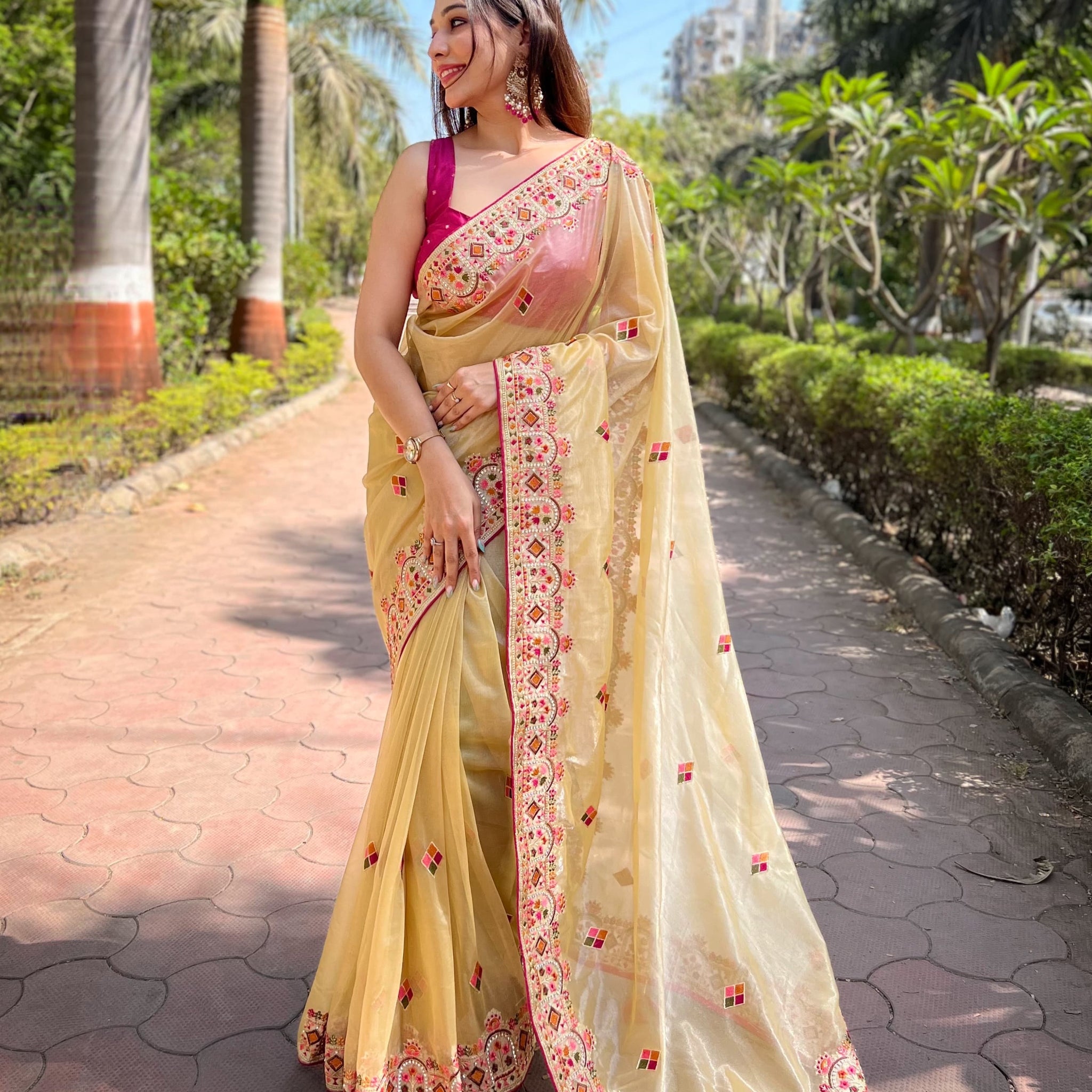 Butterfly Net Saree