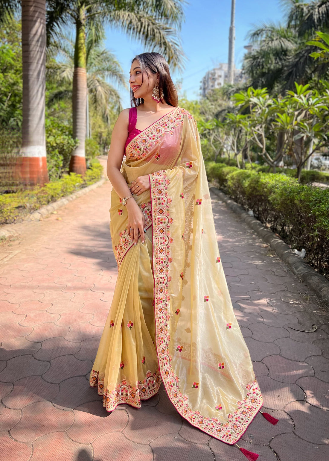 Butterfly Net Saree