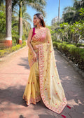 Butterfly Net Saree