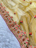 Butterfly Net Saree