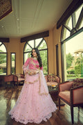 Party Wear Lehenga Choli