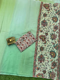 Organza Saree