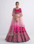 Elegant shaded pink net blouse & lehenga set with silk inner and net dupatta.