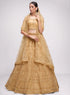 Luxurious golden net lehenga with intricate embroidery and stone embellishments.
