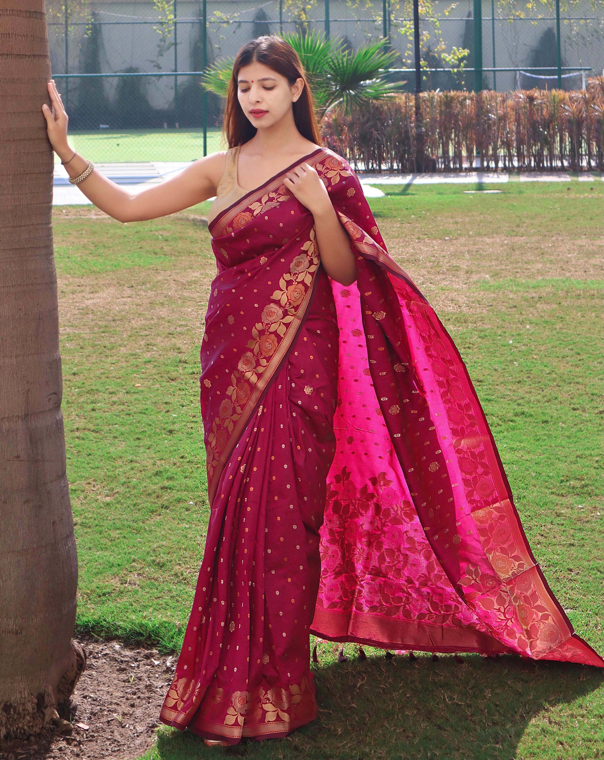 Banarasi Silk Saree