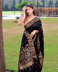Banarasi Silk Saree