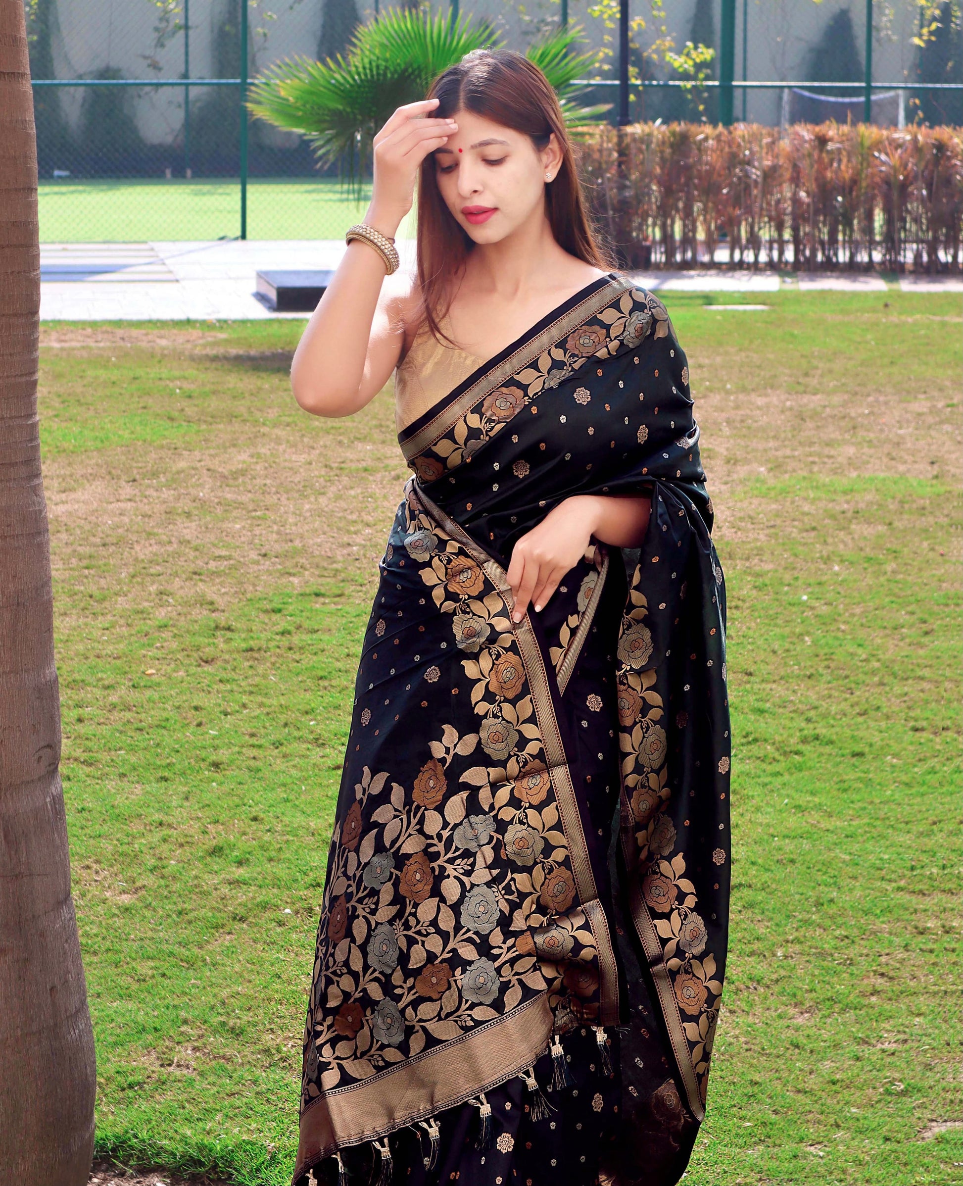 Banarasi Silk Saree