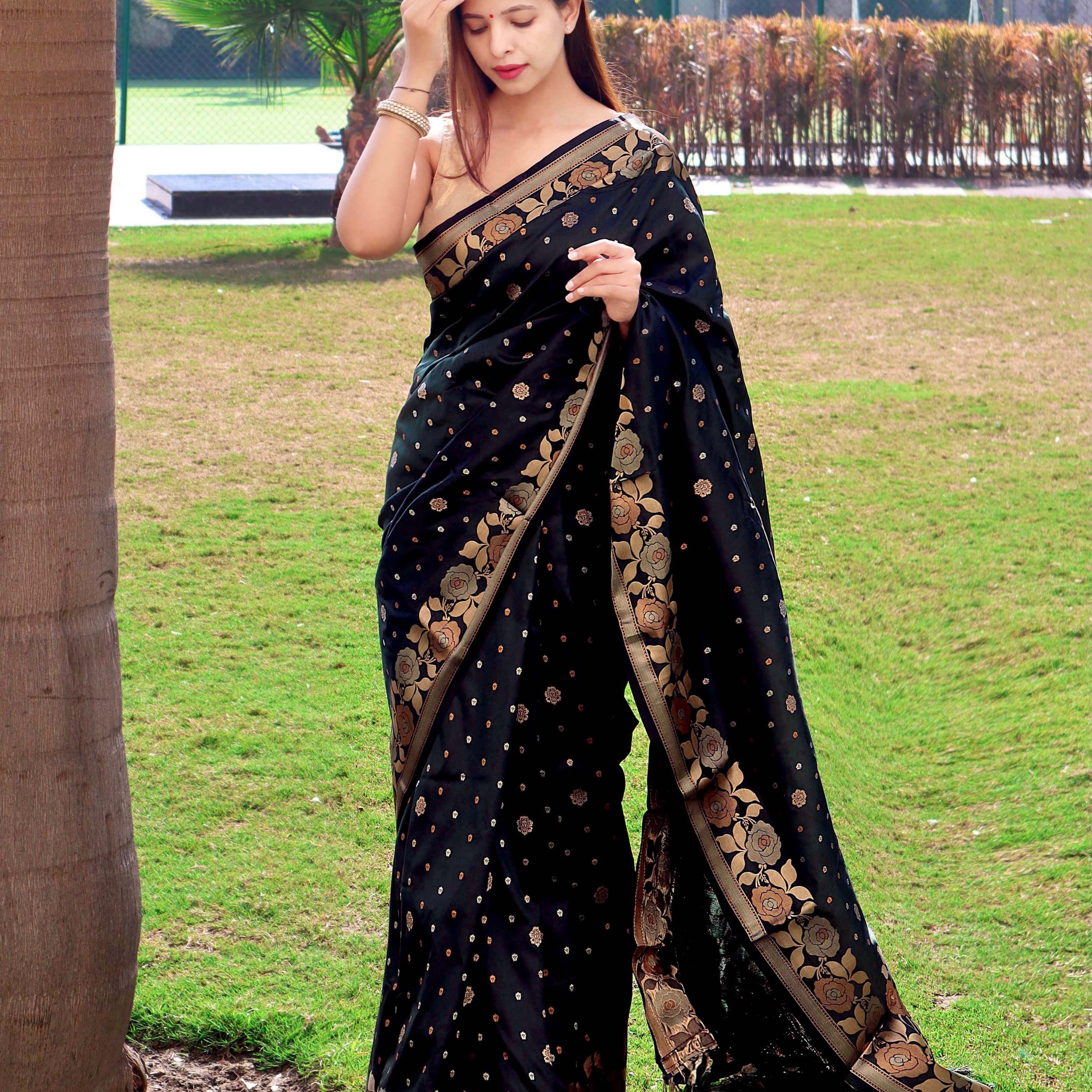Banarasi Silk Saree