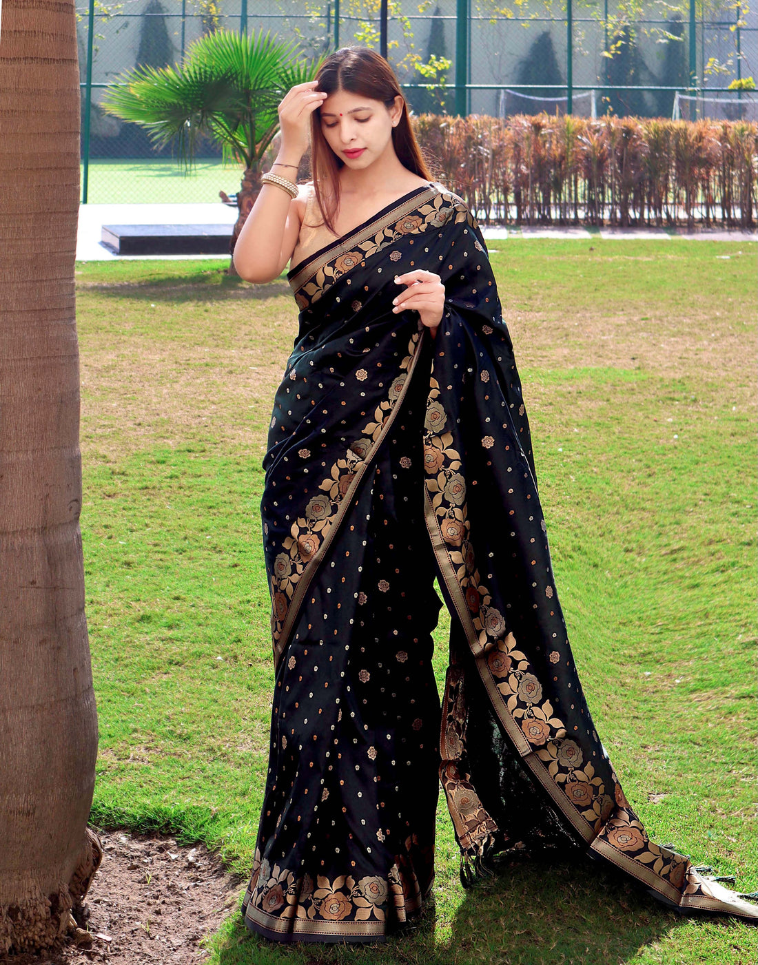Banarasi Silk Saree