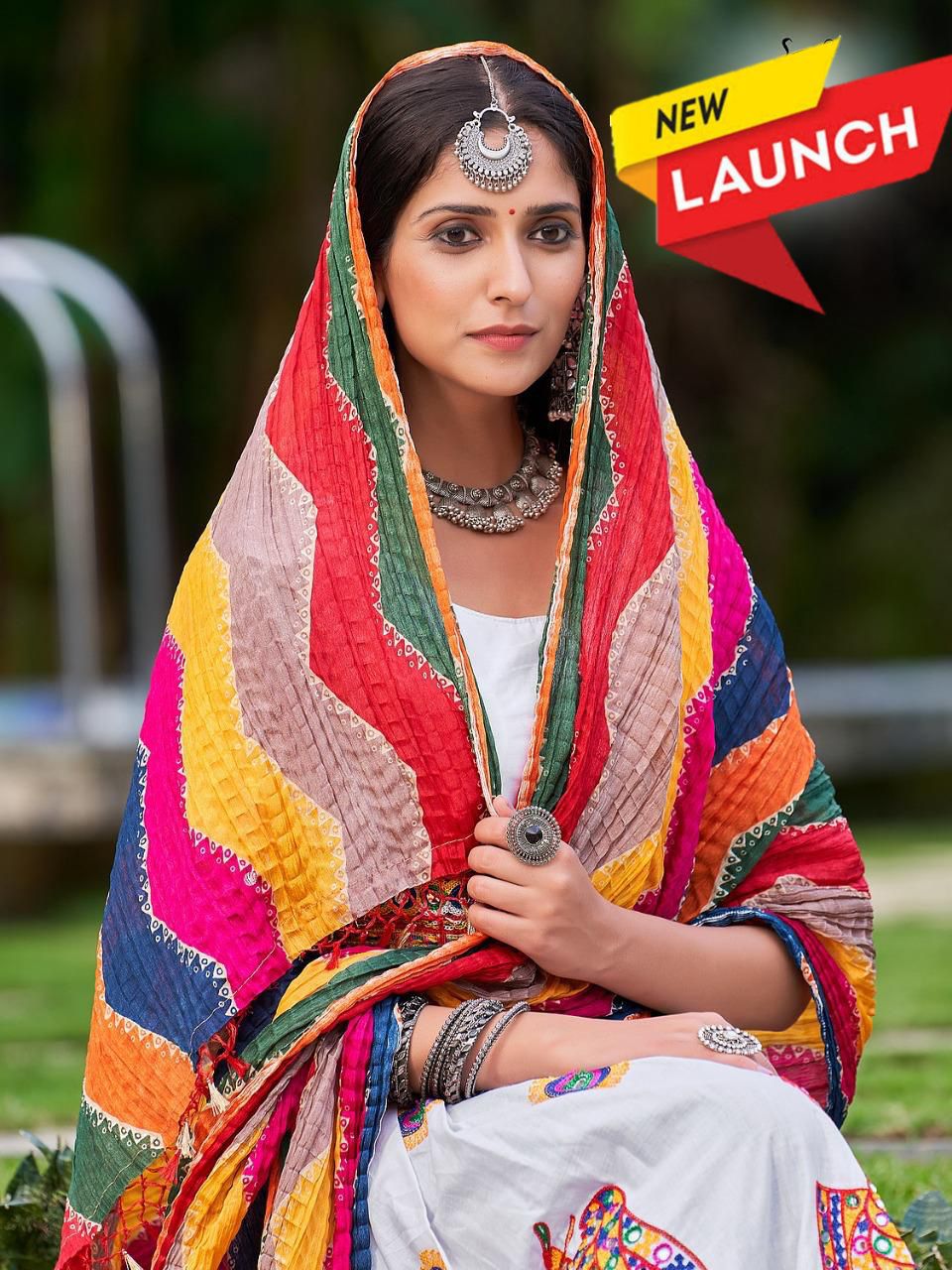 Navaratri Garba Chaniya Choli