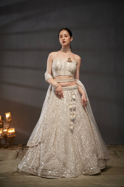Cream Sequins and Zarkan Embroidery Net Lehenga Choli &amp; Dupatta