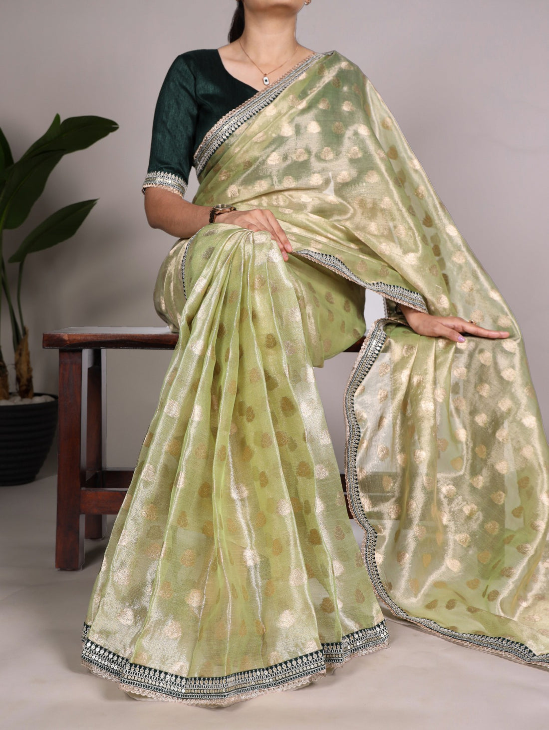 Banarasi Tissue Silk Saree