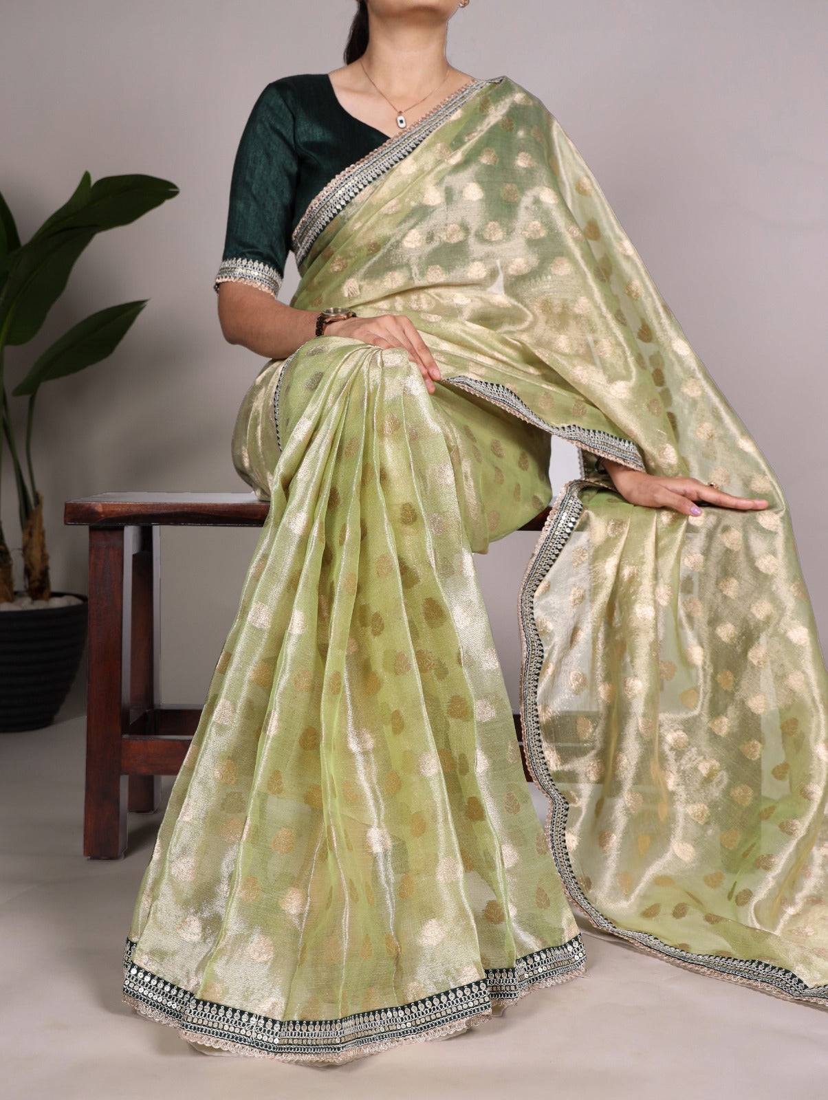 Banarasi Tissue Silk Saree