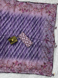 Organza Saree