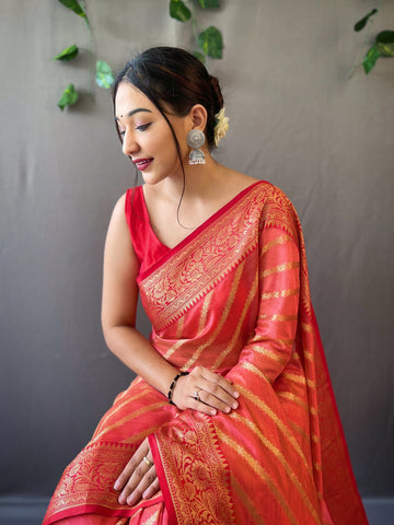 Organza Saree