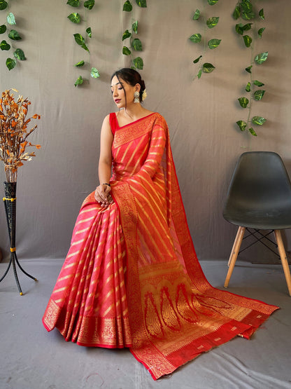 Organza Saree