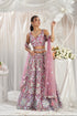 Rose Gold Net Lehenga with Sequins Embroidery