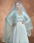 Blue Chikankari Embroidered Georgette Anarkali & Embroidered Dupatta