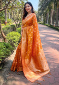 Organza Saree