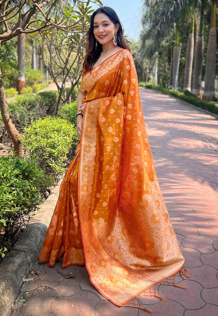 Organza Saree
